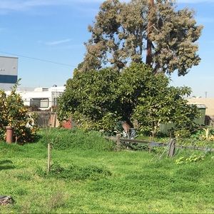 Meet your Posher, Nicholas